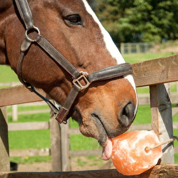 Mineral Lick Salt